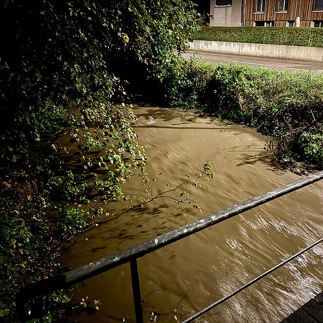 Birsig bei Hochwasser höhe Bushaltestelle Brücke