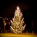 Weihnachtsbaum auf dem Dorfplatz in Biel-Benken