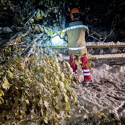 Bäume & Sträucher auf der Strasse nach einem Schneefall