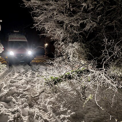 Bäume & Sträucher auf der Strasse nach einem Schneefall