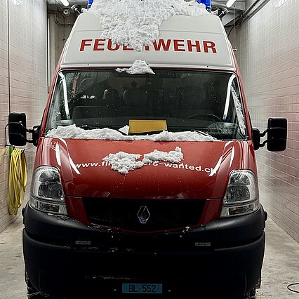Bäume & Sträucher auf der Strasse nach einem Schneefall