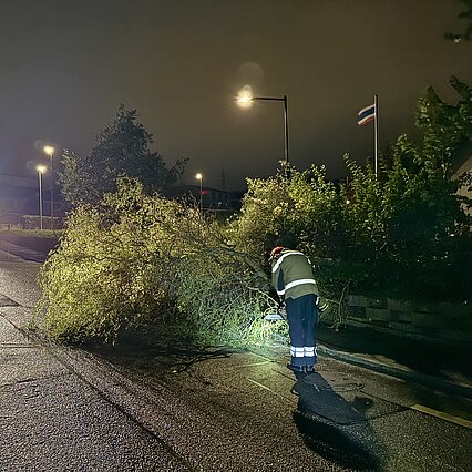 Baum auf Strasse